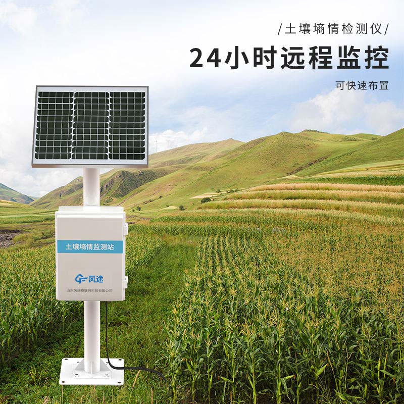 What about the FT-TS400 Soil Moisture Monitoring Station?